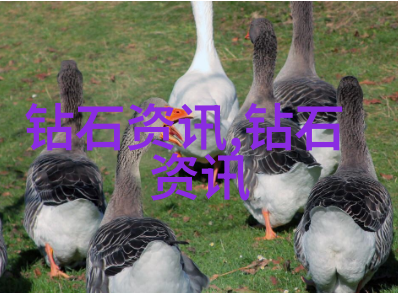 珠宝秀场 - 魔幻光芒探秘高端珠宝的魅力与价值