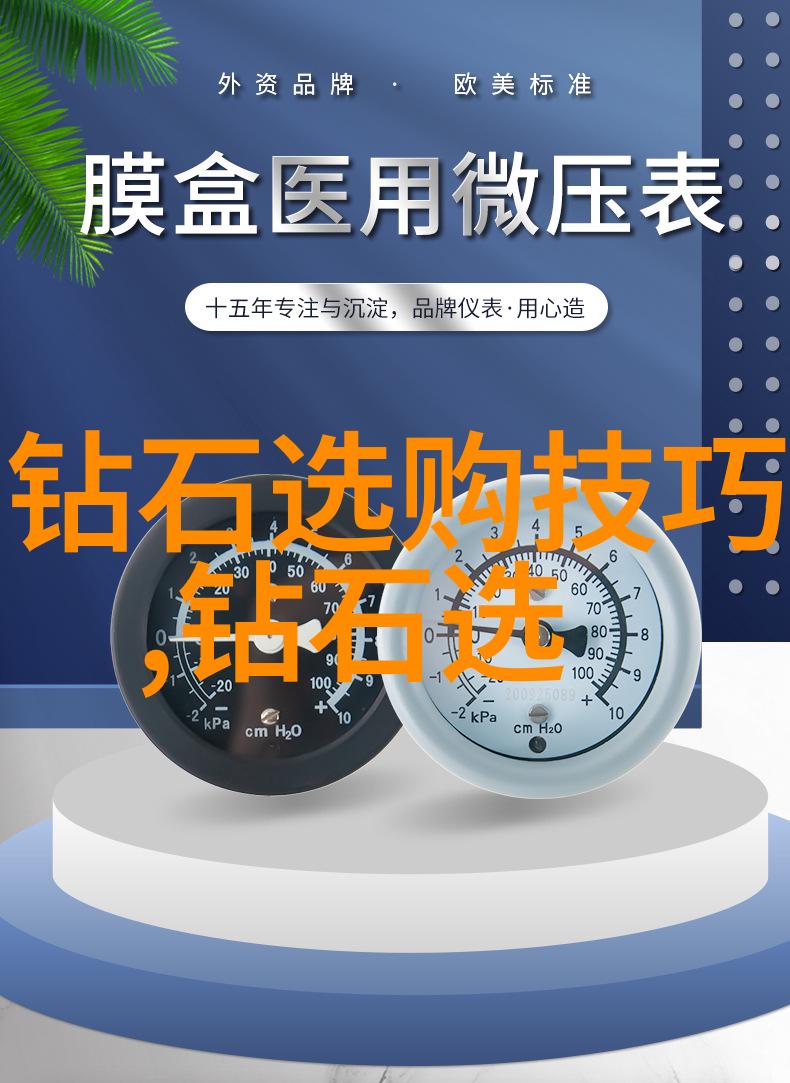 室内设计创造生活艺术的专业之道