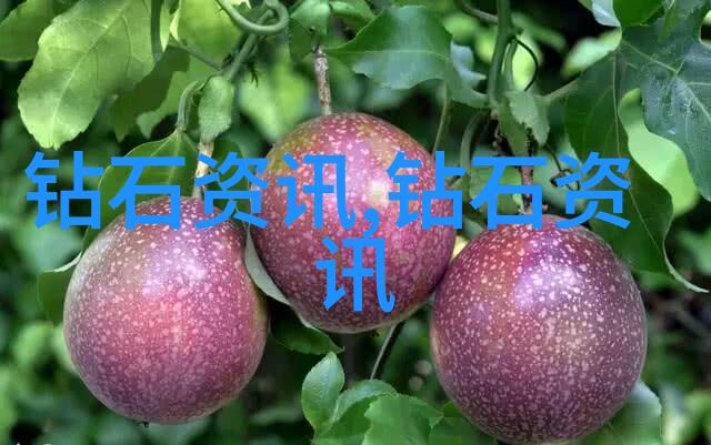 空间审美与功能实践室内设计研究生探索新时代家居生活的艺术与科技融合