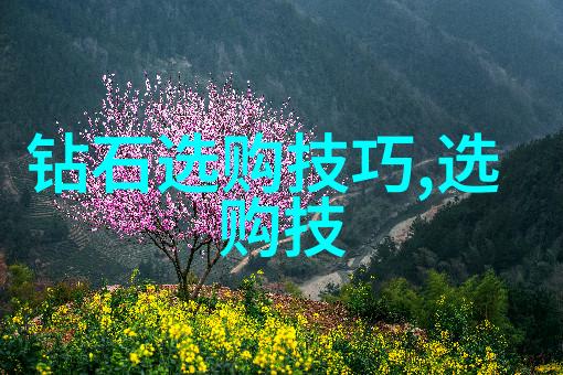 宝石的秘密探索璀璨世界中的谜题与奇迹