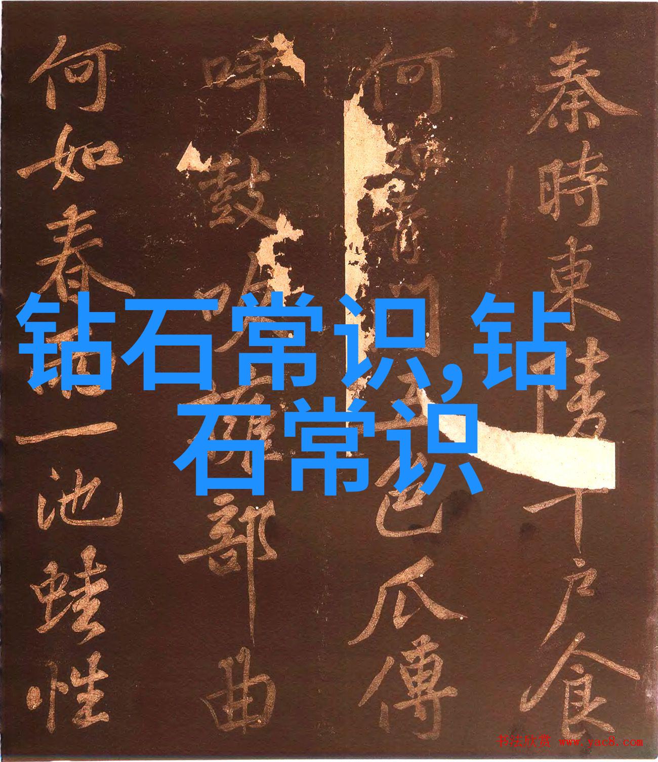 笑料满堂神奇的厨师与魔术面包