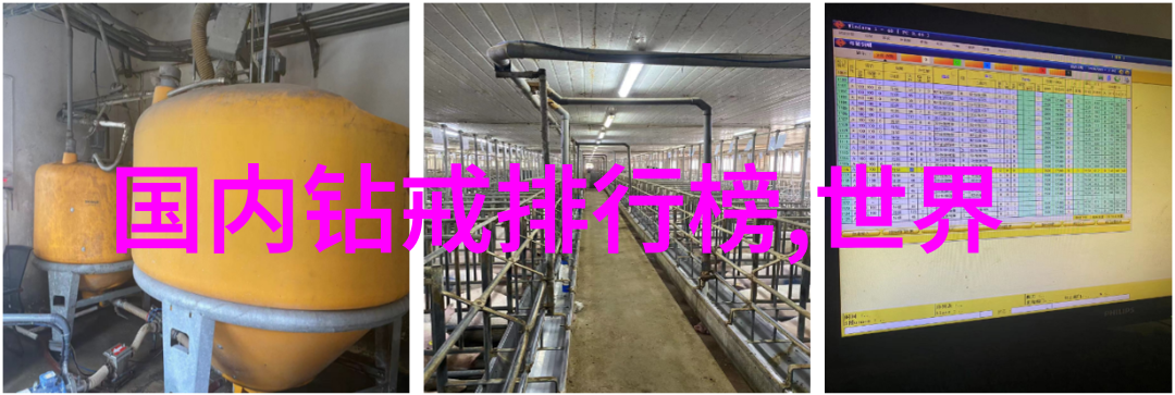 一生一世美人骨圆房在第几章-永恒的爱恋与古宅秘密揭开美人骨圆房的神秘之谜