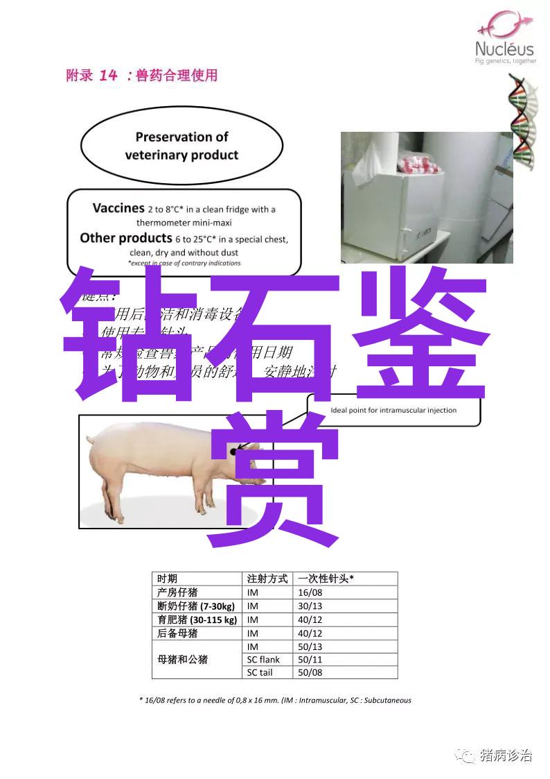 中国地质大学珠宝鉴定专业鑽研璀璨守护珍贵