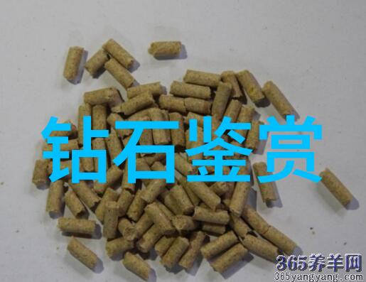 手工作坊老师们面临哪些挑战以及他们如何应对这些挑战