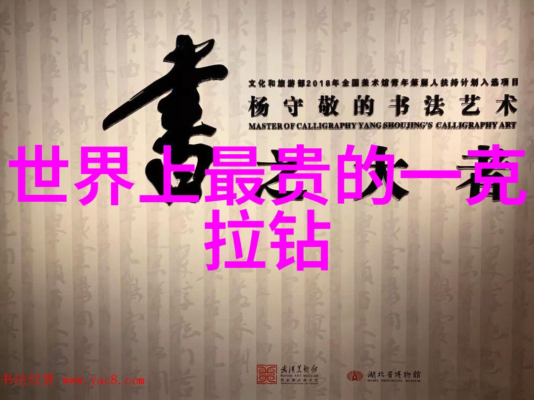 专业发展的必经之路从知识到技能再到卓越
