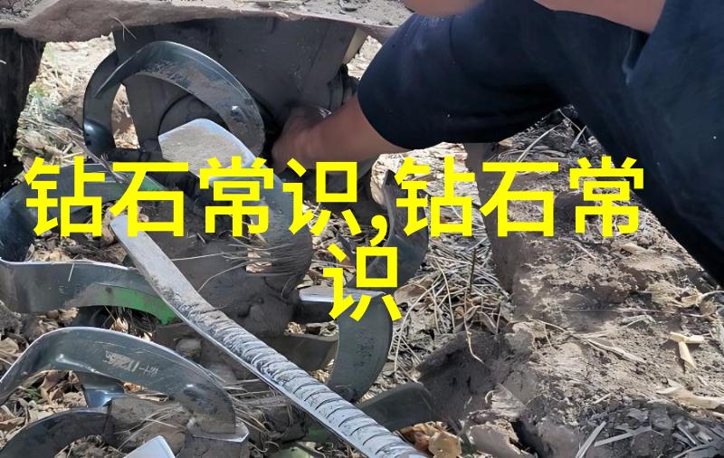 个人在多元文化环境中维护其独特性格的策略有哪些