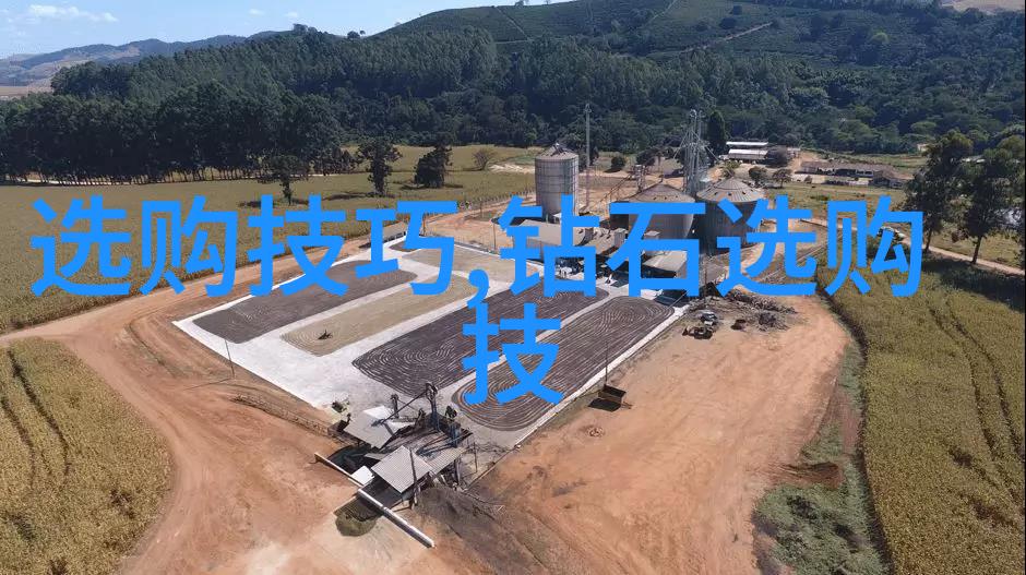 中国传统文化深度探究古代礼仪书法艺术中华哲学