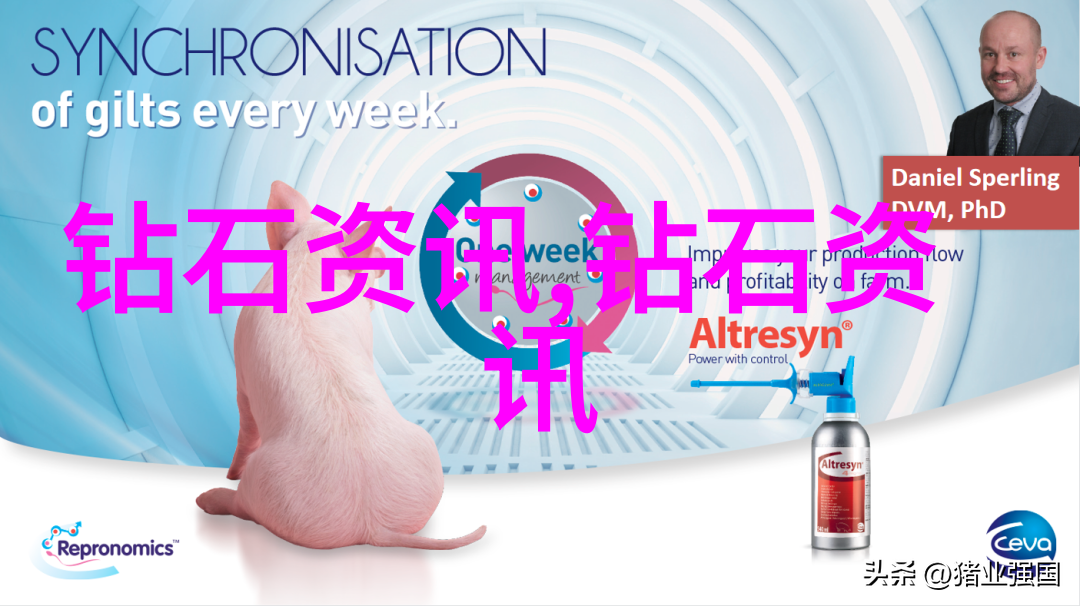 火影忍者小樱强禁照我都说了要保护她的隐私她怎么还能那么任性呢