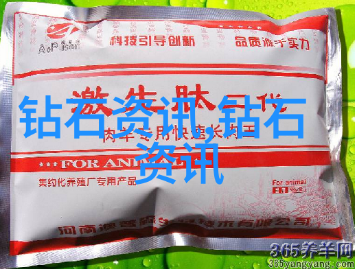 学学习对外汉语专业时应如何培养跨文化交流的敏感性和适应性