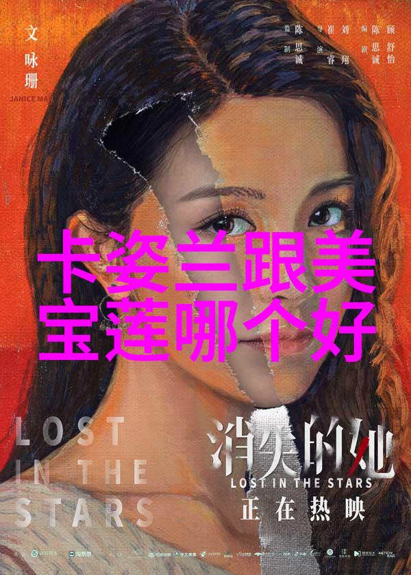 宝石项链如何展现个人品味与时尚潮流