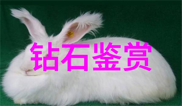 印象技术发展历程透露什么信息它对真实性的影响有多大