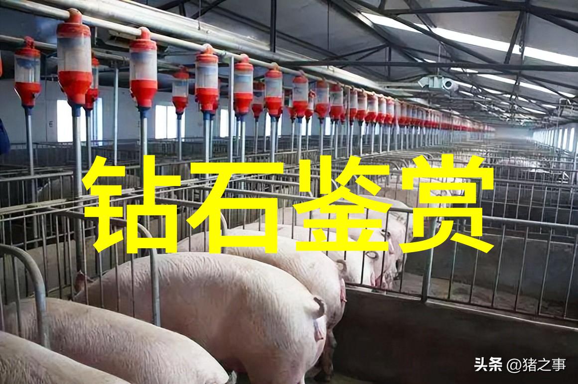 家具设计与工程创新技术与人体工学的结合