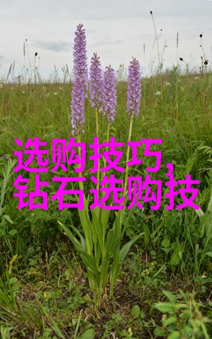 探索中华民族的精神根基文化的深度与广度