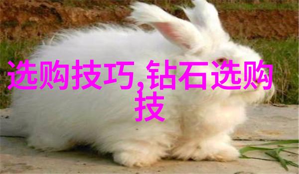熔炉中的秘密铸造工艺的艺术与技术