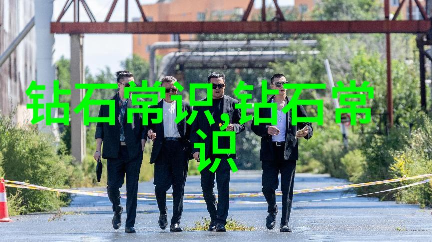 翡翠宝石的真伪鉴定从古老工艺到现代科技揭秘权威认证的多重面貌