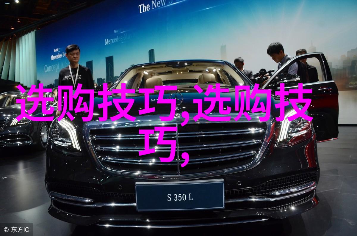 从同情到理解利用免费PPT学习中西文化差异