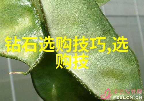 璀璨夸张与沉稳简约宝石及材料工艺学的反差探究