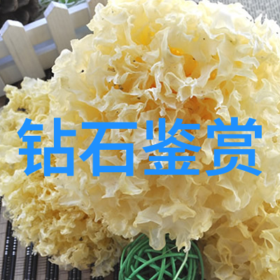 深入探索中华文化宝库中国文化常识大全书的丰富内容与价值
