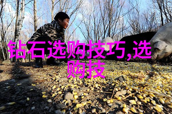 白雪公主的故事背后隐藏着什么神秘力量