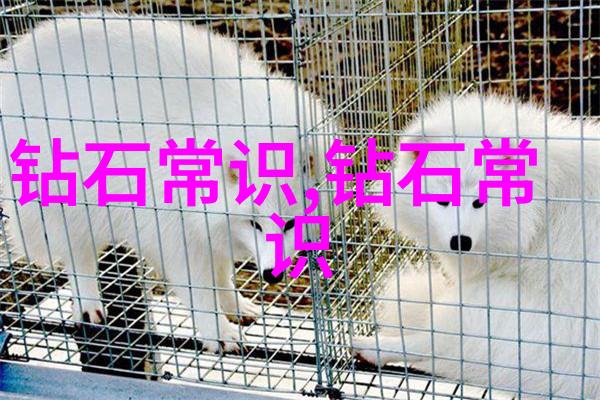 工艺品风采展览
