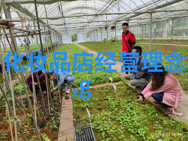 暴雪时分原著小说探索冰封王座的神秘传说