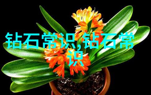 宝石之谜璀璨的秘密与光彩的背后