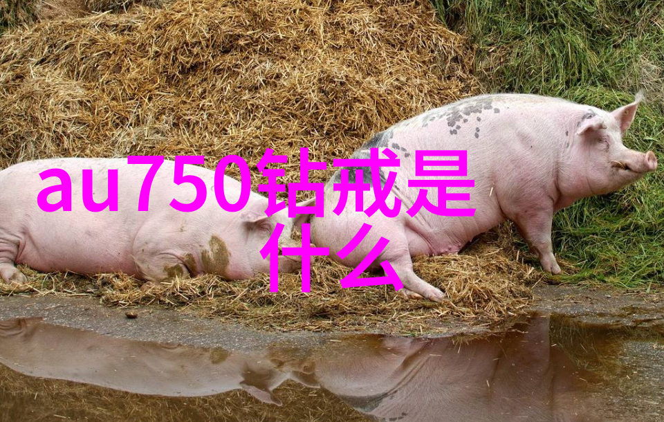 工艺指的是什么意思我来解释一下工艺的秘密
