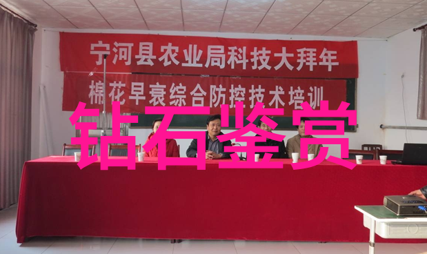 翡翠原石的净度和色带我怎么判断这块翡翠是不是真的高净度啊