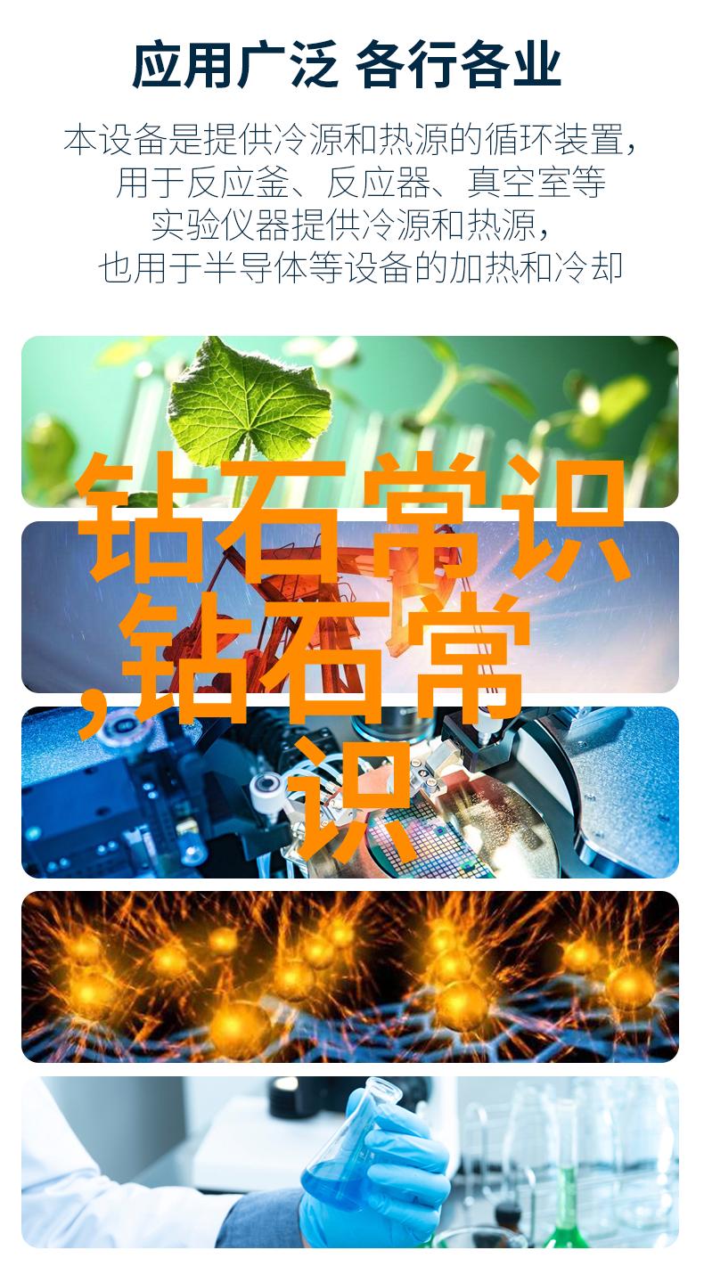 职业辨识解锁就业市场的秘密通行证
