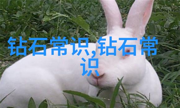 龙的传说与墨水的智慧探索中国文化深邃世界