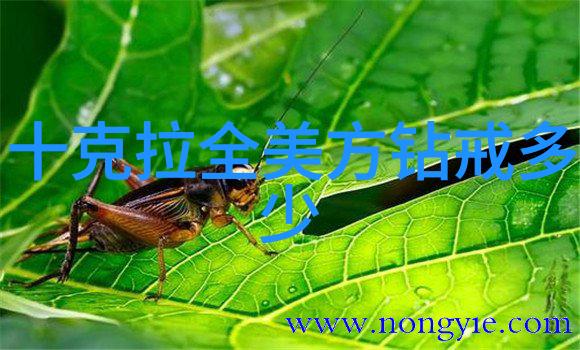 全球工业设计大学排名创意与实践的殿堂