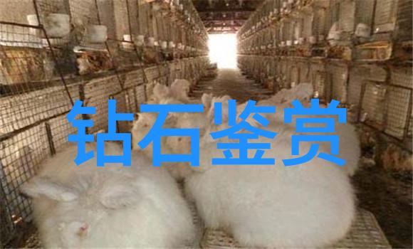 室内装潢设计专业-精致空间室内装潢设计的艺术与科技融合