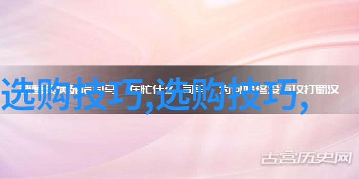 宠物美容师的艺术世界从毛茸茸到闪耀星光