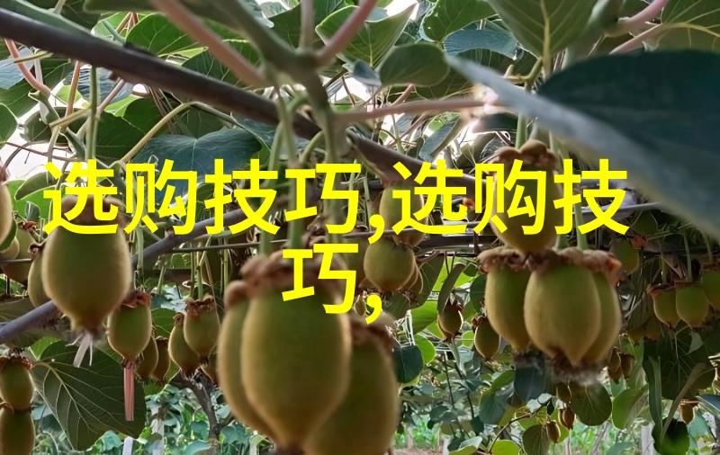 文化的面纱与背影揭开传统与现代之间的反差