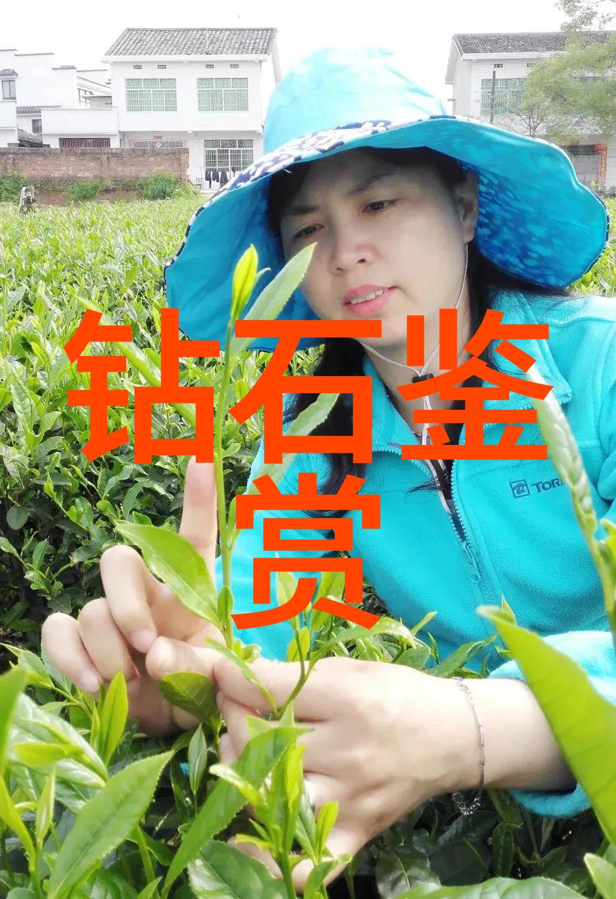 清代文学中的独特风格解读柳公权作品