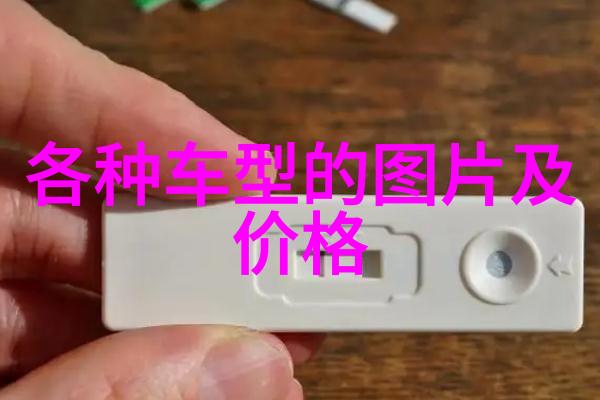 世界钻石大小排名前十名钻石大师世界之最宝石市场钻石交易