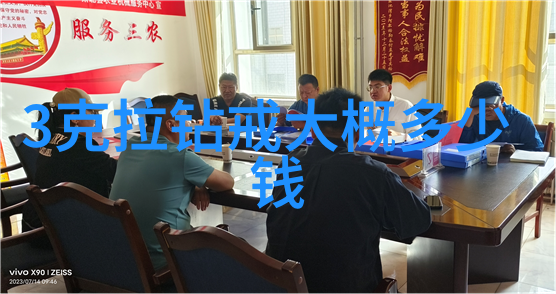 玉石收藏-千年璀璨揭秘价值上亿的玉石传奇