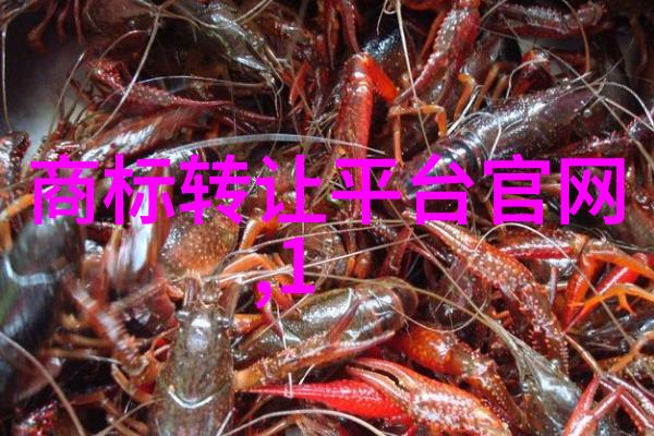 探秘璀璨宝石世界上珍贵的光彩之都