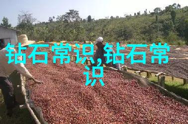 珠宝之旅走进世界各地独特的饰品文化