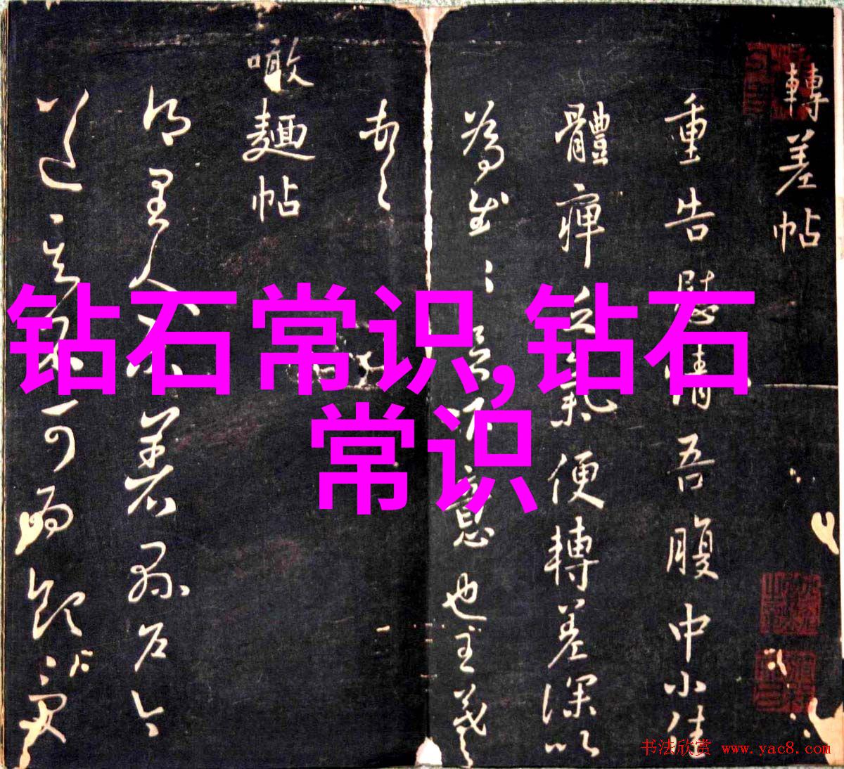 高薪就业热门揭秘好找工作的专业领域