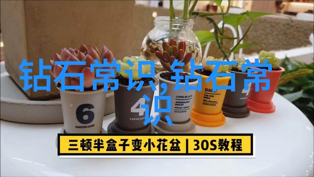 宝相花之谜藏于古籍中的秘密