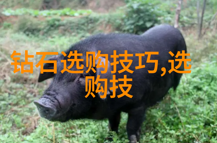 世界上有多少种类型的珠宝