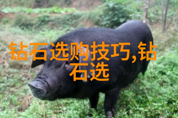 导向未来的电视传媒导播角色在数字化时代的演变有哪些特点