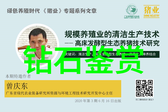 国际交流中的跨文化理解不同国家之间的相互学习与尊重