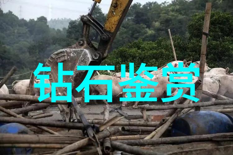 北京鉴定珠宝的最佳场所