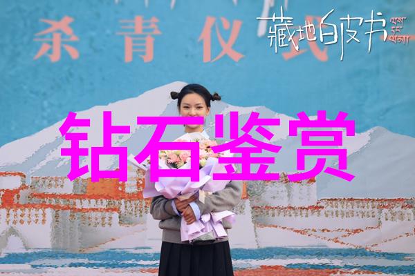 利用技术提升效率新一代的中国珠宝证书查询系统介绍