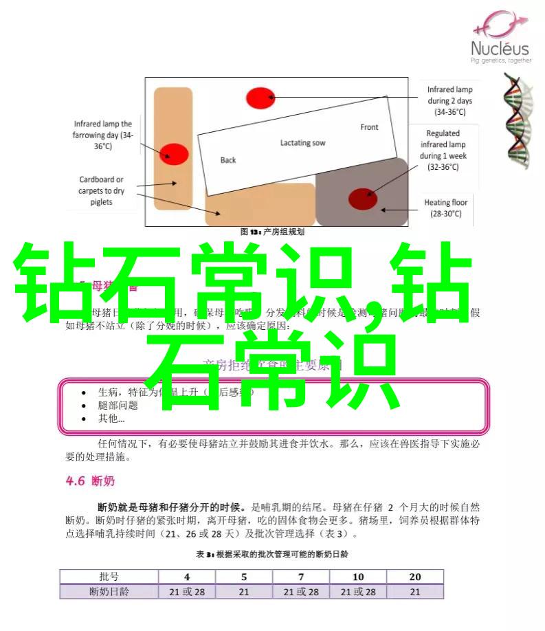 日系自然妆容技巧女子日系裸妆视频教程