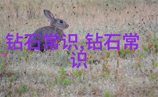 工艺流程图背后的秘密揭开制造奇迹的神秘面纱