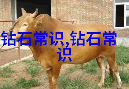 女性玉手镯千万不要戴在左手别让美丽玉镯失灵我为什么只戴右手的好运