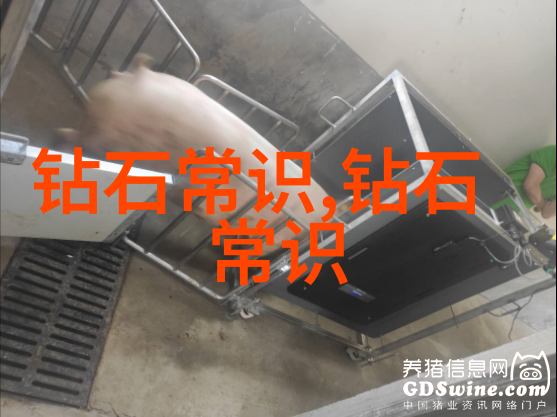 传统技艺与现代审美世界技能大赛中的珠宝新趋势